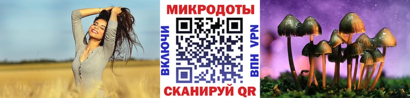 Галлюциногенные грибы мухоморы купить hydra Щёлкино
